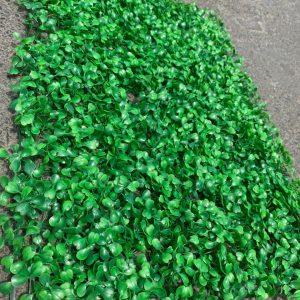 co-duong-xi-trang-tri-loai-1-re-dep