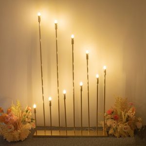 den-dan-loi-san-khau-dam-cuoi