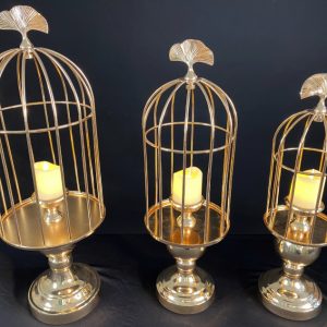 chan-nen-long-chim-bo-3-cai