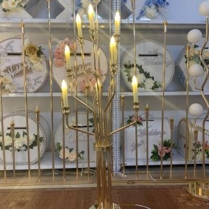 den-dan-loi-san-khau-dam-cuoi